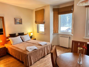 Studio Royal Plaza sleeps 4 Prime location, distance to ski lift - 50M